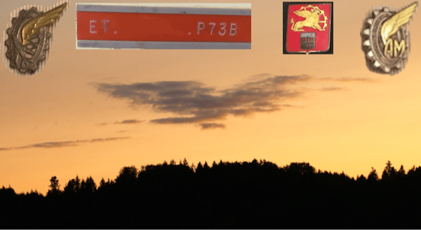 LE Groupuscule P73 (Suite)