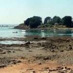 Sortie à l’île de Bréhat pour les Arpètes Bretons 20