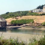 Sortie à l’île de Bréhat pour les Arpètes Bretons 23