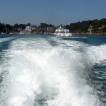 Sortie à l’île de Bréhat pour les Arpètes Bretons 31