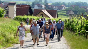 Les P46 en Alsace pour leur 55ème anniversaire 5