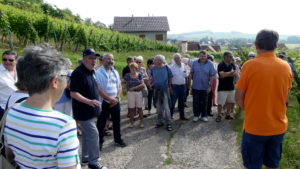 Les P46 en Alsace pour leur 55ème anniversaire 6