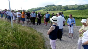 Les P46 en Alsace pour leur 55ème anniversaire 8