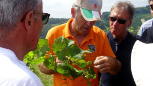 Les P46 en Alsace pour leur 55ème anniversaire 9