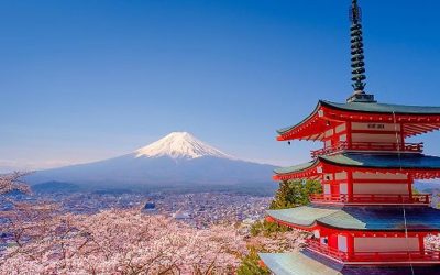 JAPON – NOVEMBRE  2020