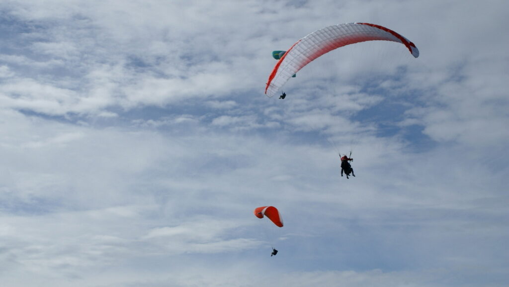 LES P46 en AUVERGNE 14